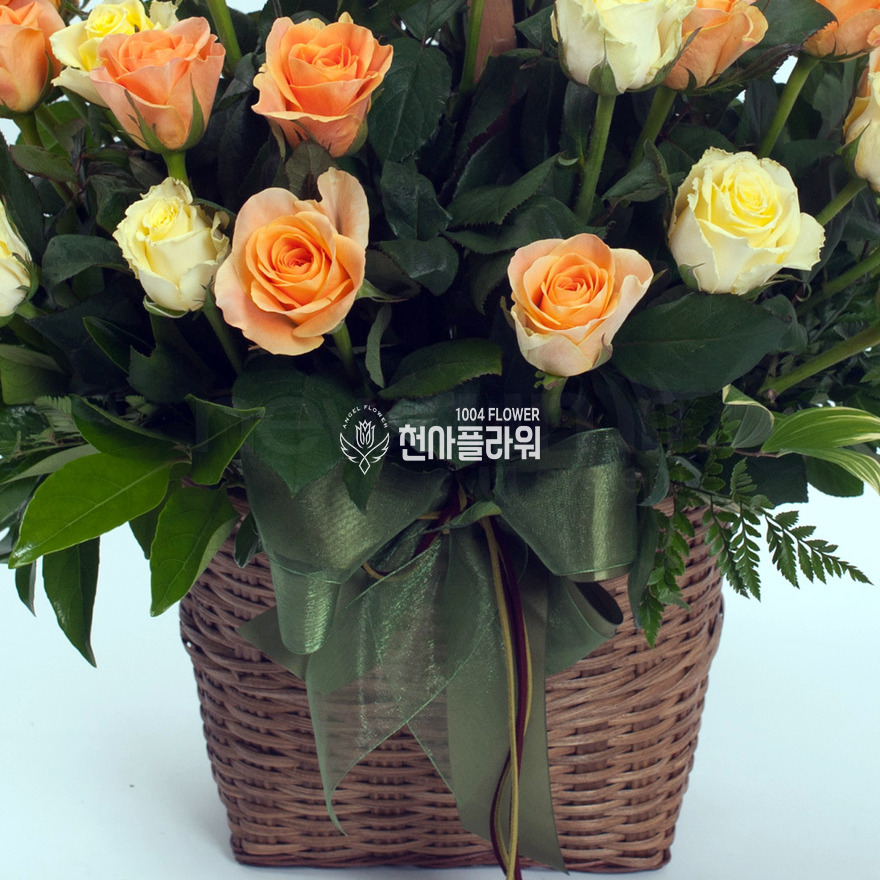 상세이미지