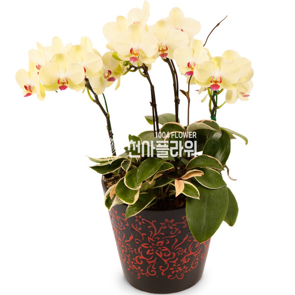 포춘2