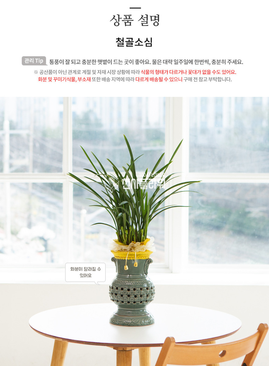 상세이미지