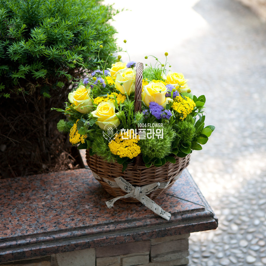 상세이미지