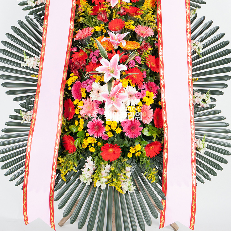 상세이미지