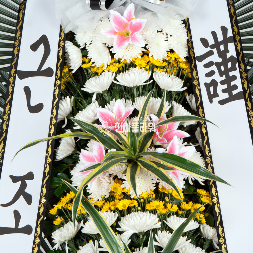 상세이미지