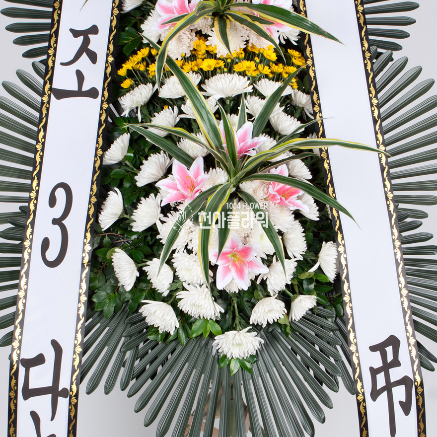 상세이미지