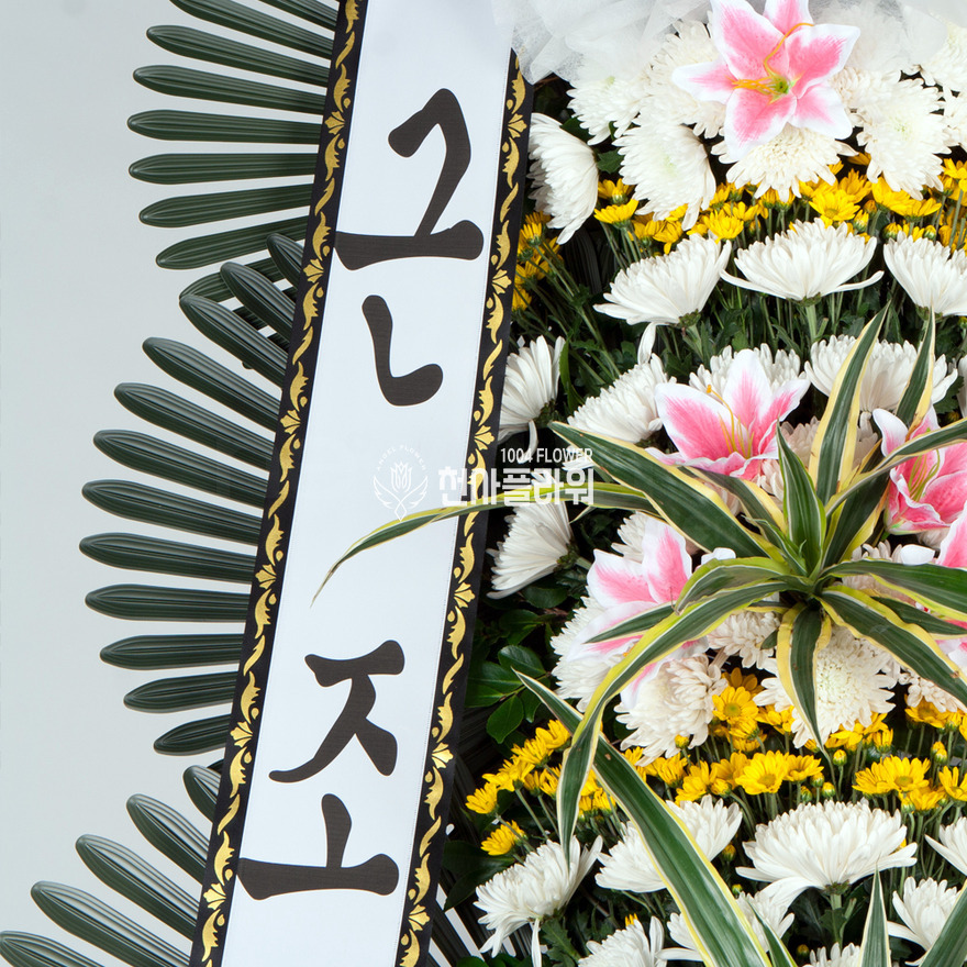 상세이미지