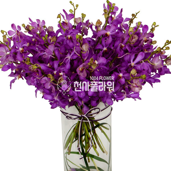 모카라화병
