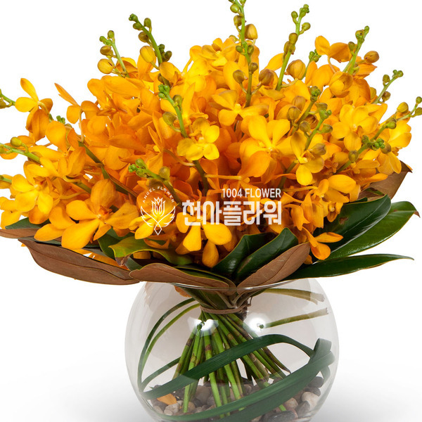 노랑모카라화병