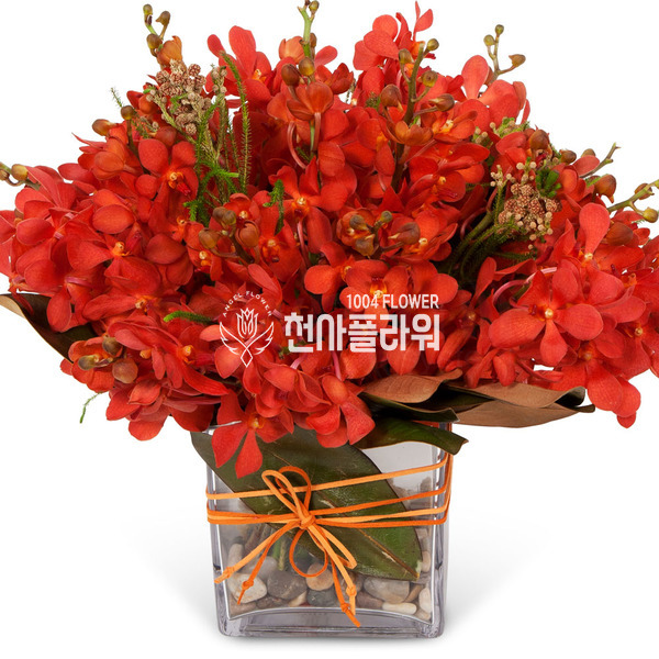 레드모카라화병