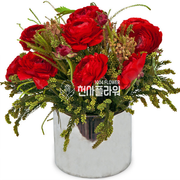 나넌큐러스화병