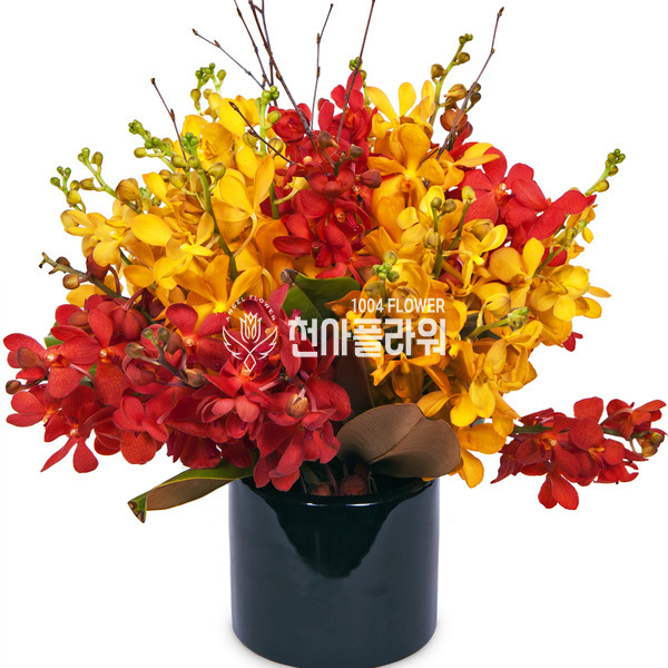 모카라혼합화병