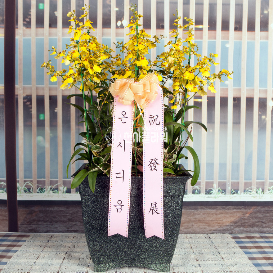 상세이미지