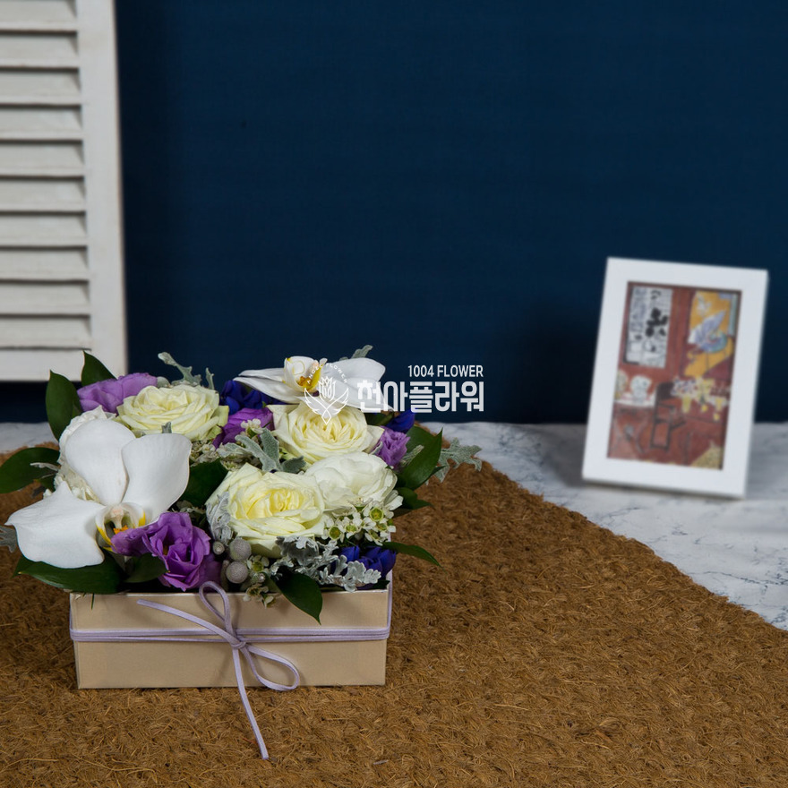 상세이미지