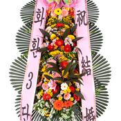 축하화환 일반형 (천사플라워)
