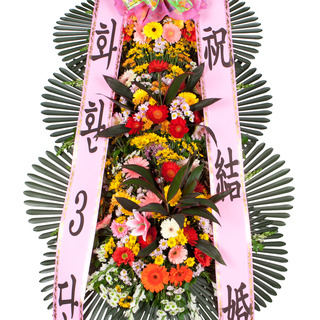 축하화환 일반형 (천사플라워)