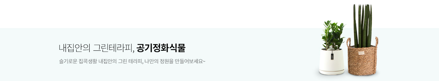 공기정화식물