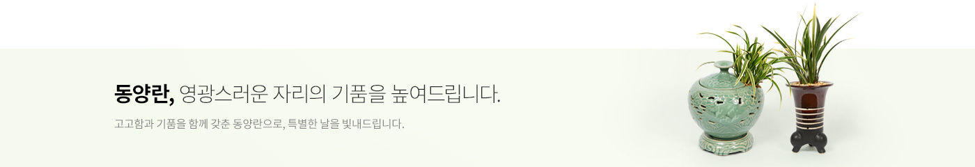 동양란